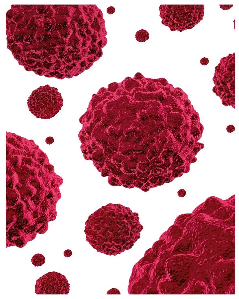 Gazetka promocyjna Rossmann str. 84