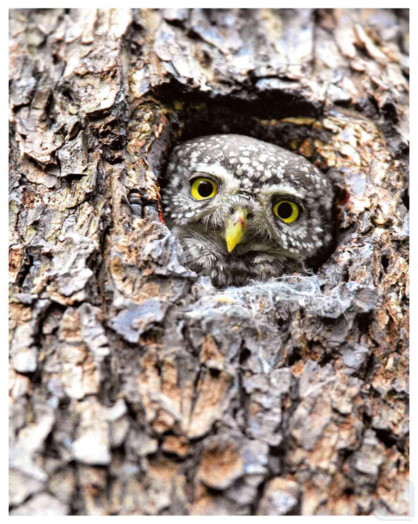 Gazetka promocyjna Rossmann str. 82