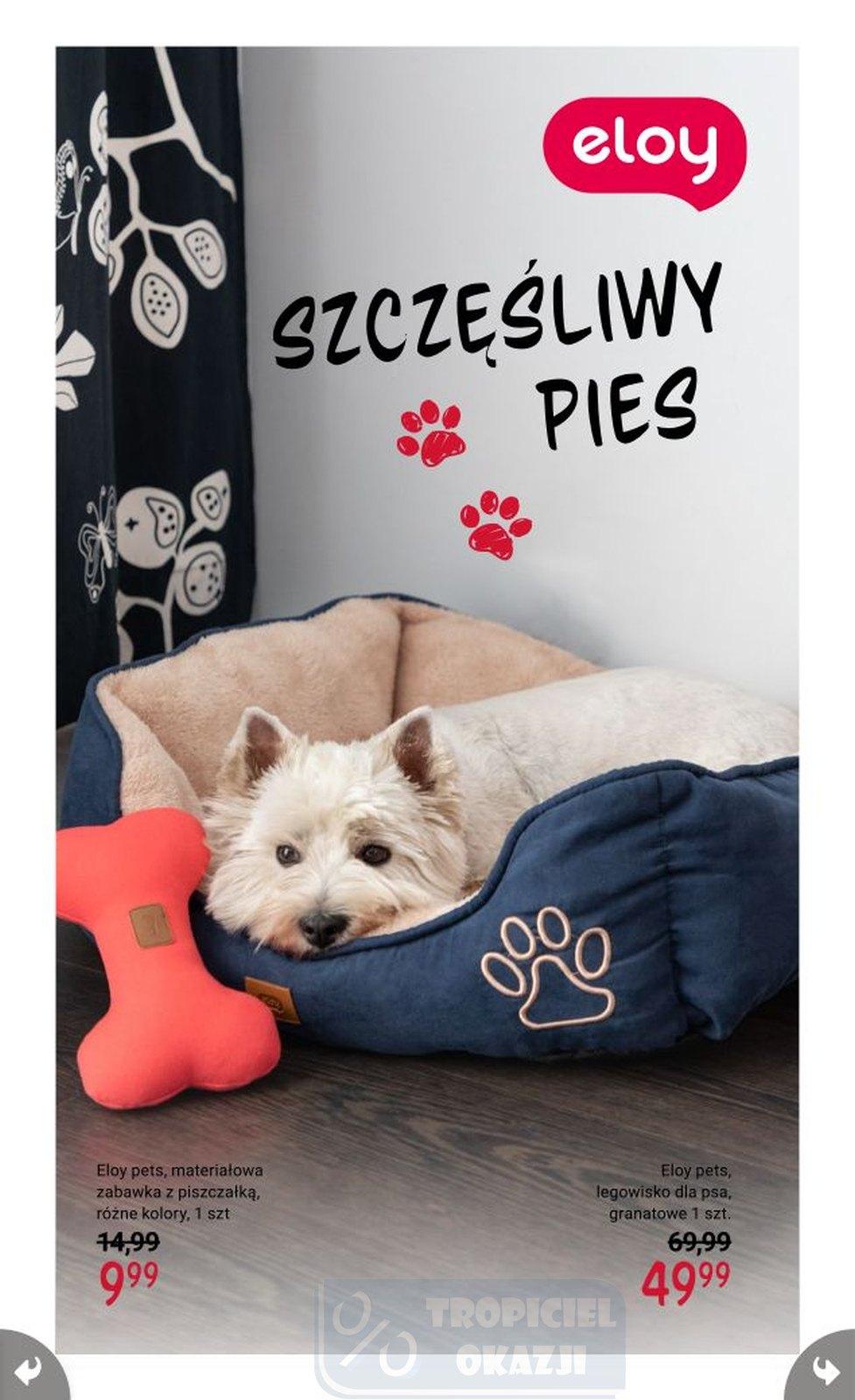 Gazetka promocyjna Rossmann str. 15