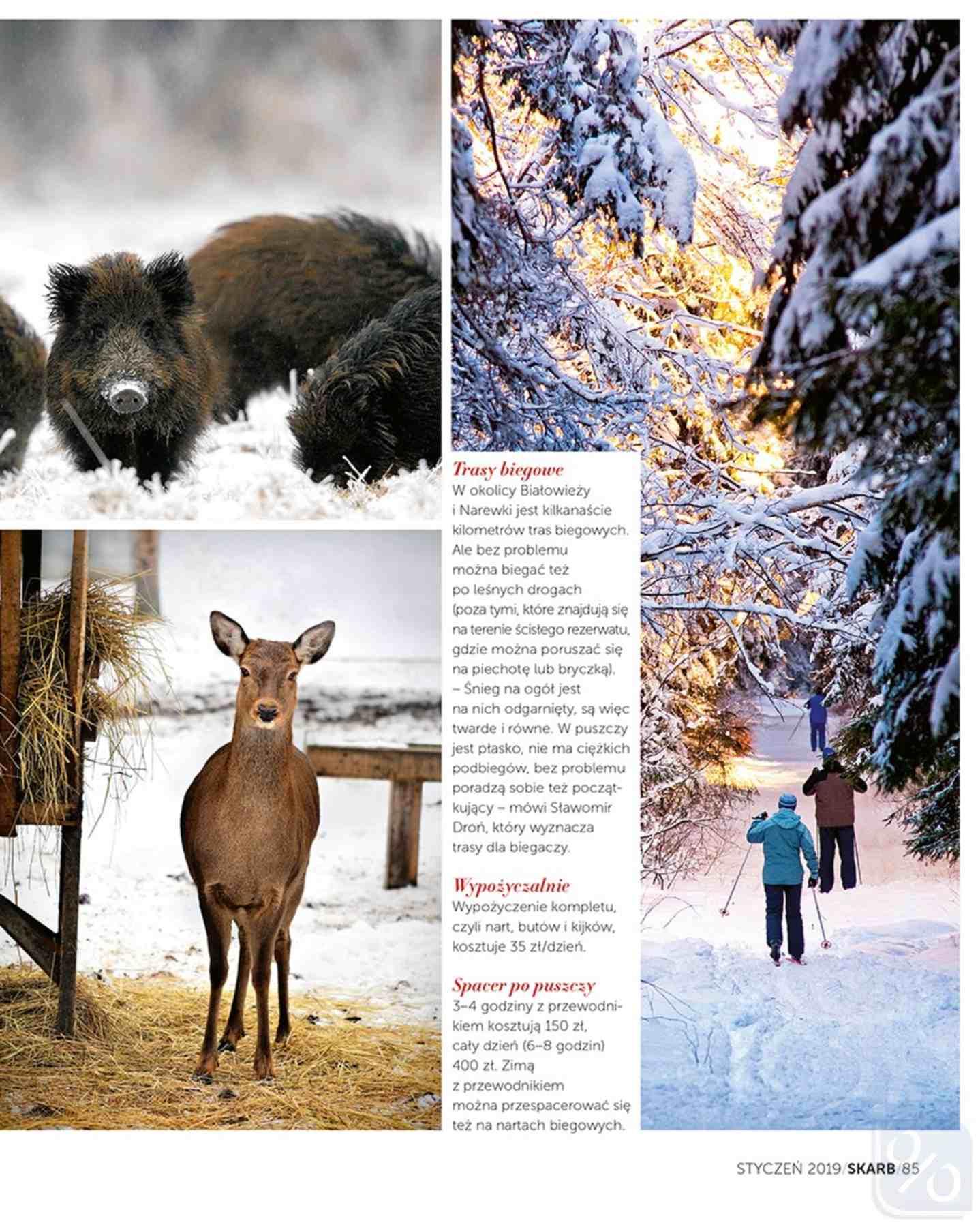 Gazetka promocyjna Rossmann str. 85