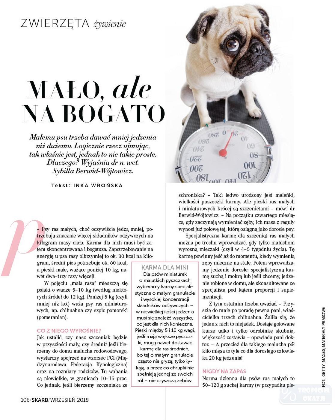 Gazetka promocyjna Rossmann str. 106