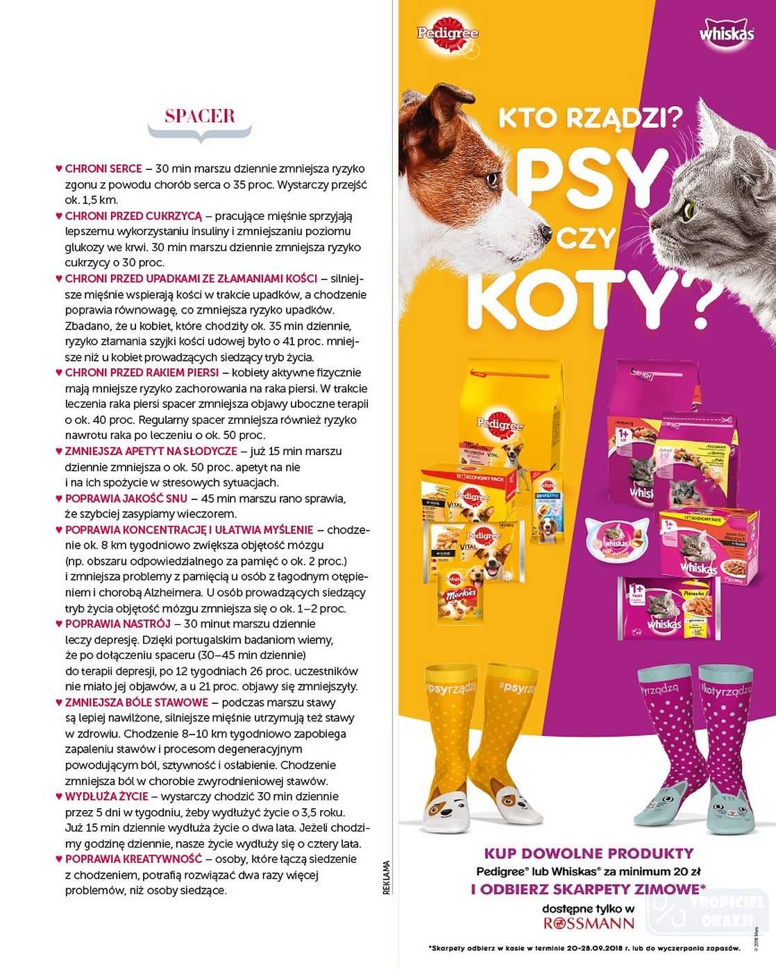 Gazetka promocyjna Rossmann str. 99